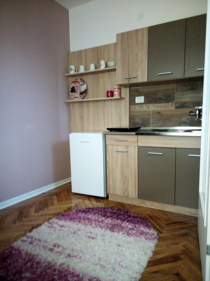 Apartment Holiday Vrnjacka Banja Ngoại thất bức ảnh