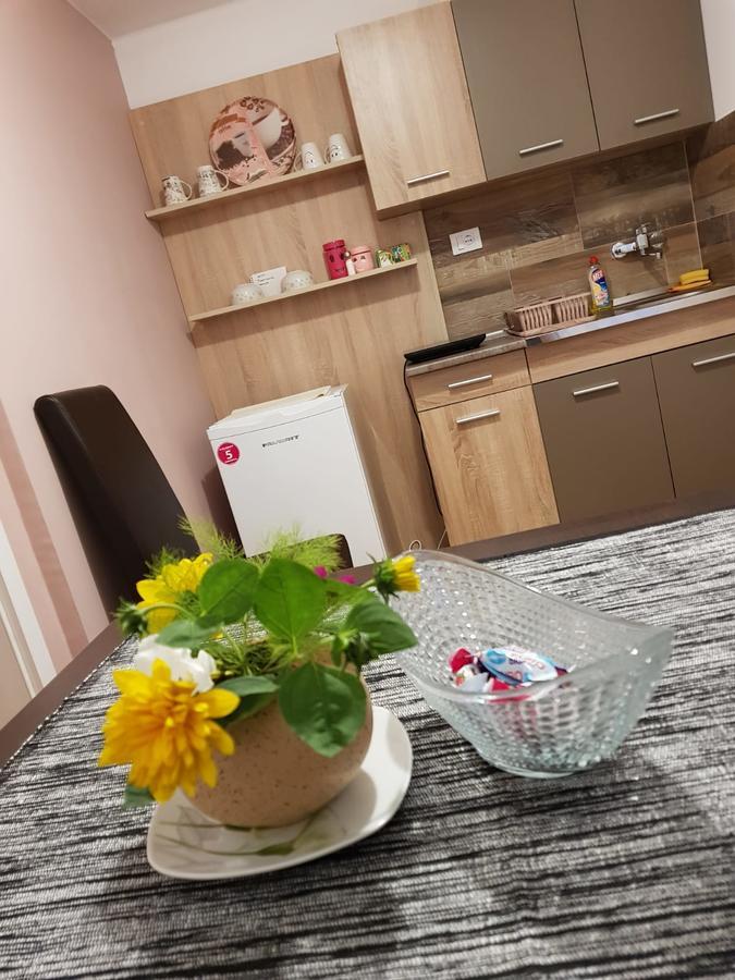 Apartment Holiday Vrnjacka Banja Ngoại thất bức ảnh